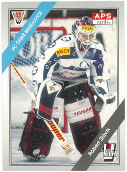 1994-95 APS Robert Slávik HC České Budějovice č. 95
