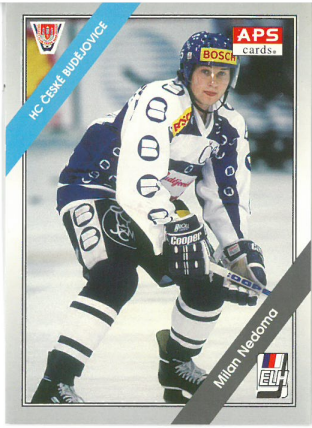 1994-95 APS Milan Nedoma HC České Budějovice č. 102