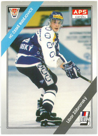 1994-95 APS Libor Zábranský HC České Budějovice č. 104
