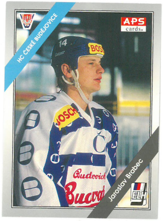1994-95 APS Jaroslav Brabec HC České Budějovice č. 105