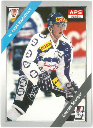 1994-95 APS Zdeněk Šperger HC České Budějovice č. 107