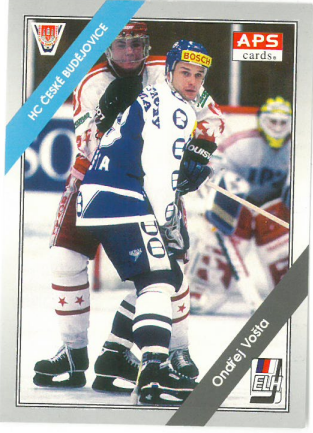 1994-95 APS Ondřej Vošta HC České Budějovice č. 108