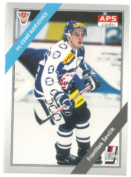 1994-95 APS František Ševčík HC České Budějovice č. 111