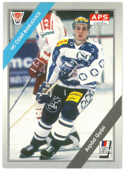1994-95 APS Arpád Györi HC České Budějovice č. 115