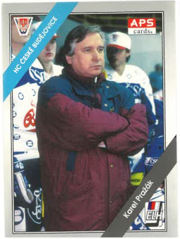1994-95 APS Karel Pražák HC České Budějovice č. 285