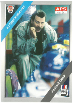 1994-95 APS Vladimír Caldr HC České Budějovice č. 286