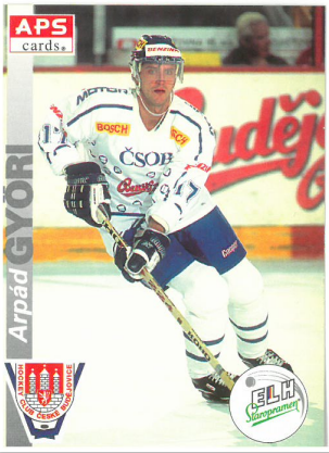 1996-97 APS Arpád Györi HC České Budějovice č. 254