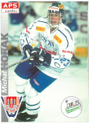 1996-97 APS Michal Horák HC České Budějovice č. 260