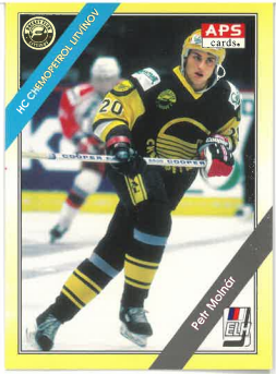 1994-95 APS Petr Molnár HC Chemopetrol Litvínov č. 207