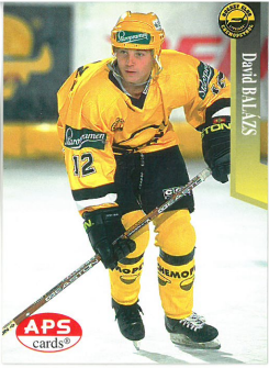 1997-98 APS David Balázs HC Chemopetrol Litvínov č. 94