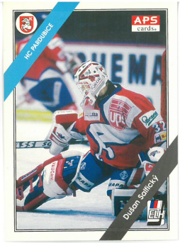 1994-95 APS Dušan Salfický HC Pardubice č. 25