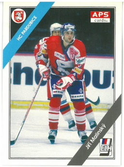 1994-95 APS Jiří Malinský HC Pardubice č. 26
