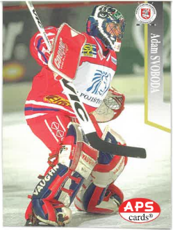 1997-98 APS Adam Svoboda HC IPB Pojišťovna Pardubice č. 245