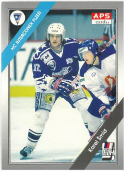 1994-95 APS Karel Šmíd HC Interconex Plzeň č. 142