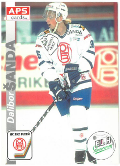 1996-97 APS Dalibor Šanda HC ZKZ Plzeň č. 306