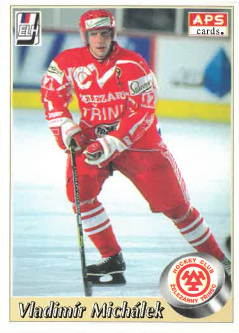 1995-96 APS Vladimír Michálek HC Železárny Třinec č. 238
